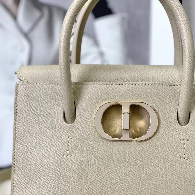 Dior Medium St. Honore Tote (25 -19-12 cm) - DopestKickz