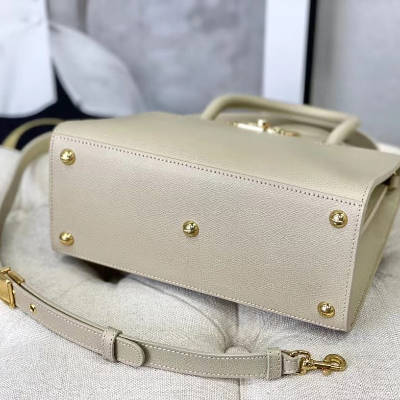 Dior Medium St. Honore Tote (25 -19-12 cm) - DopestKickz