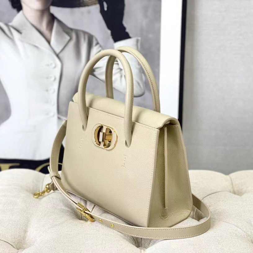 Dior Medium St. Honore Tote (25 -19-12 cm) - DopestKickz