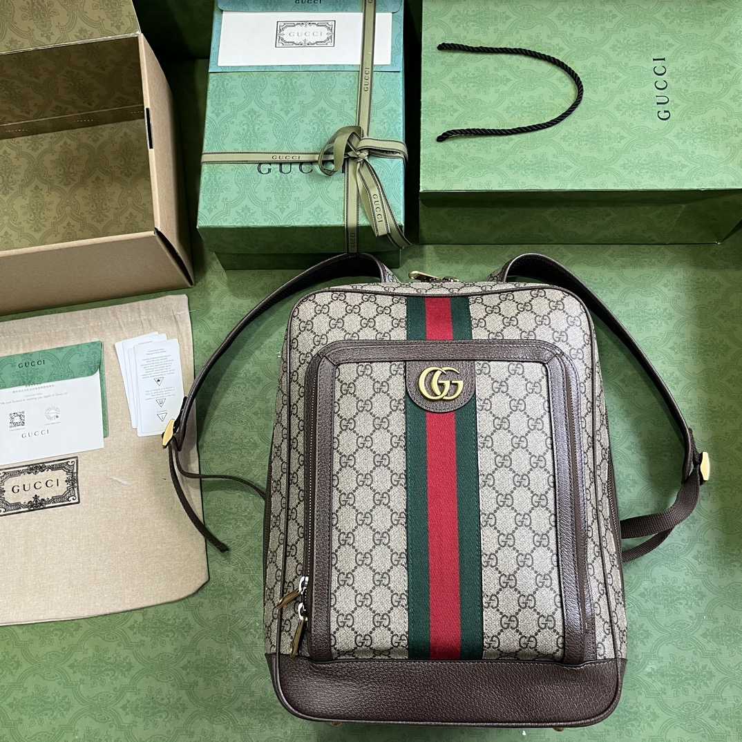 Gucci Ophidia GG Medium Backpack (40-30-14cm) - DopestKickz