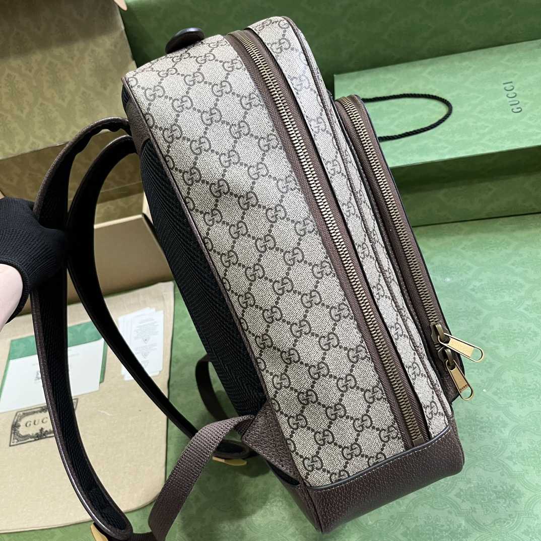 Gucci Ophidia GG Medium Backpack (40-30-14cm) - DopestKickz