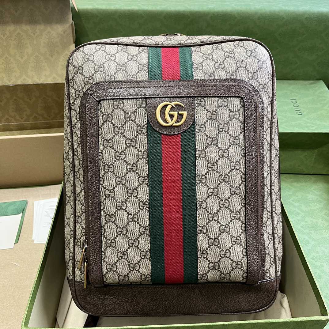 Gucci Ophidia GG Medium Backpack (40-30-14cm) - DopestKickz