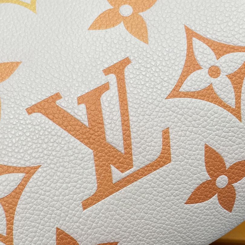 Louis Vuitton Mini Bumbag (17x12x9.5cm)      M82208 - DopestKickz