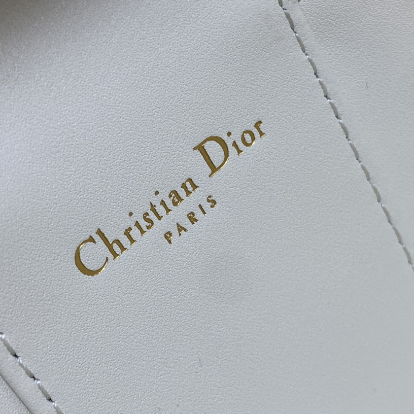 Dior Small CD Signature Vanity Case - DopestKickz