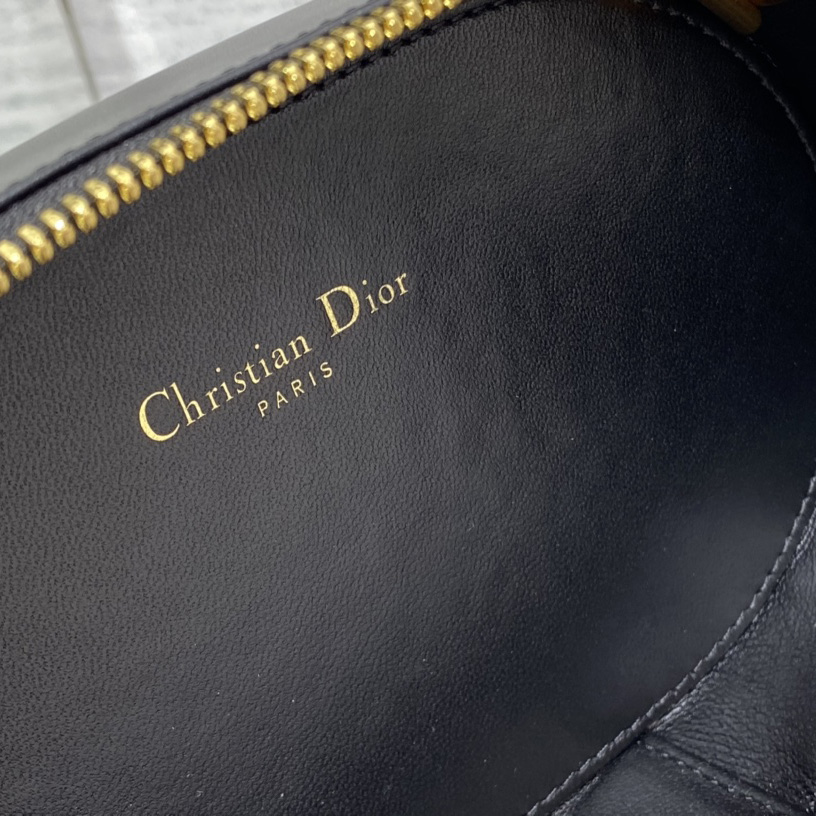 Dior CD Signature Oval Camera Bag - DopestKickz
