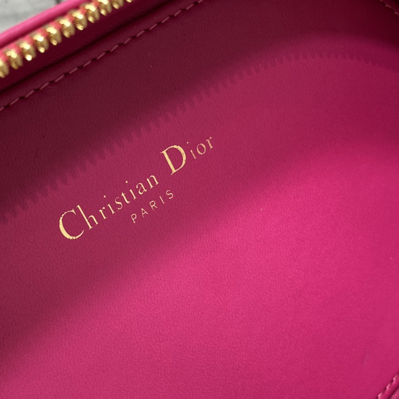 Dior CD Signature Oval Camera Bag - DopestKickz