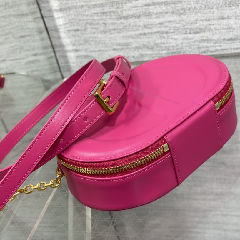 Dior CD Signature Oval Camera Bag - DopestKickz