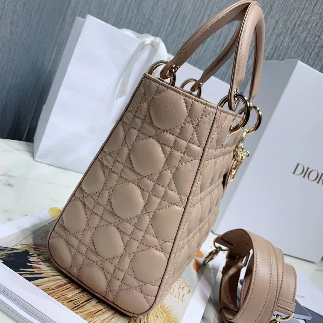 DiorLady Dior Bag  20cm - DopestKickz