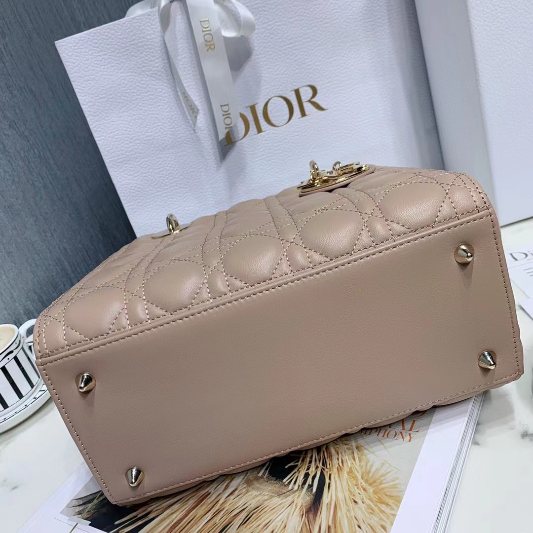 DiorLady Dior Bag  20cm - DopestKickz