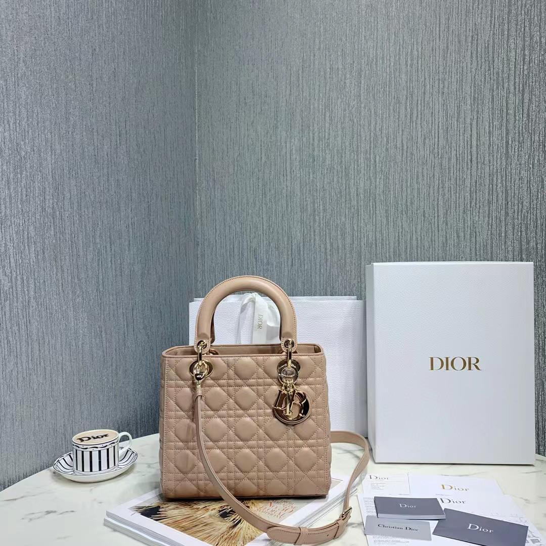 DiorLady Dior Bag  20cm - DopestKickz