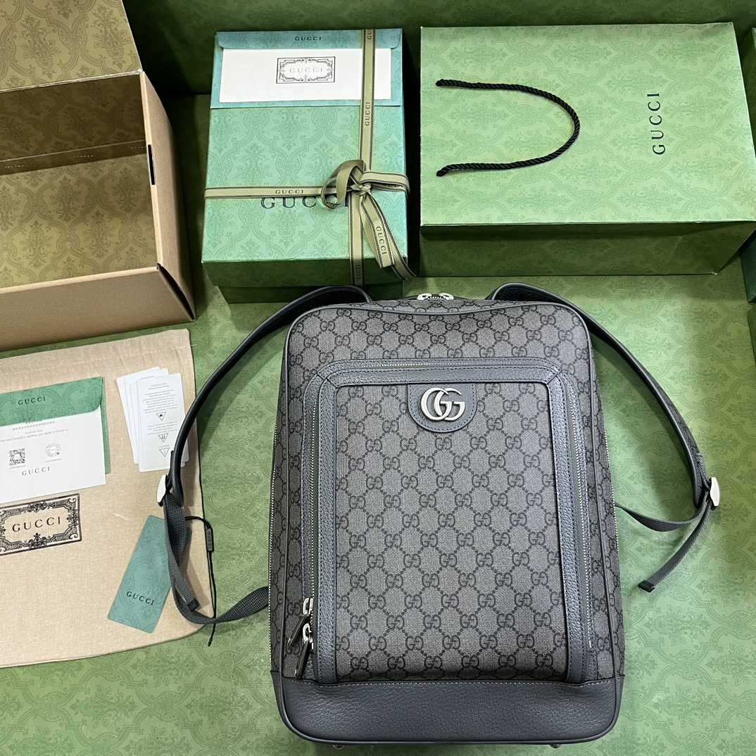 Gucci Ophidia GG Medium Backpack (40-30-14cm) - DopestKickz