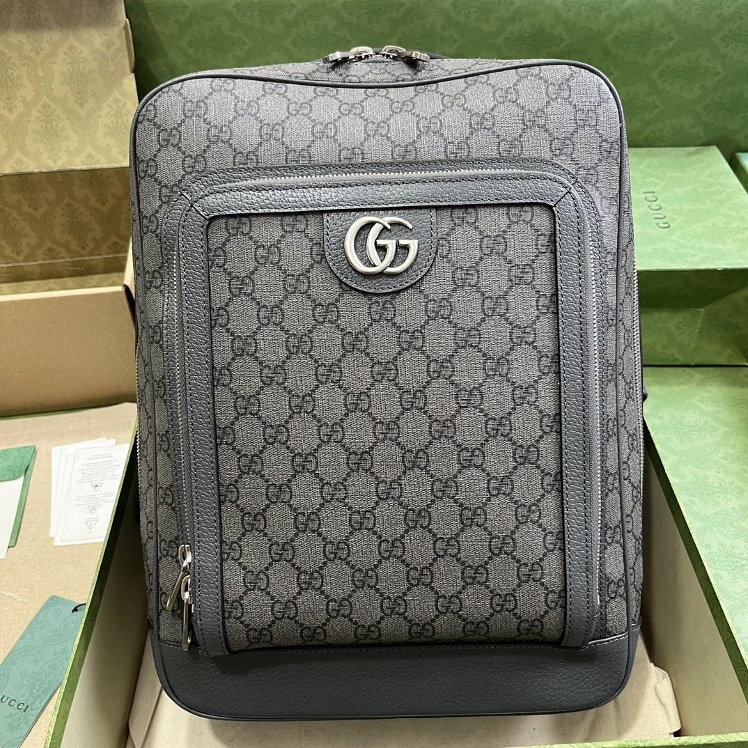 Gucci Ophidia GG Medium Backpack (40-30-14cm) - DopestKickz