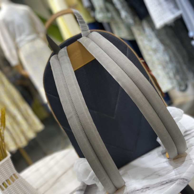 Louis Vuitton Monogram Titanium Backpack Pm Grey (32×43×13cm)  M43882 - DopestKickz