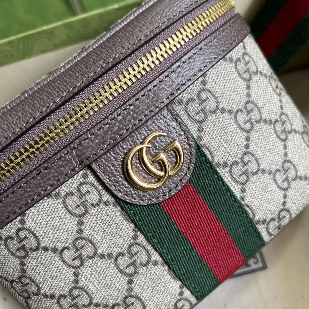 Gucci Ophidia GG Belt Bag (18-12-6cm) - DopestKickz