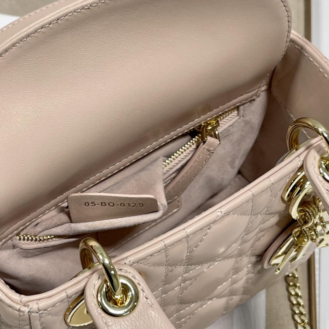 Dior Lady Dior Bag  (17 x 7.5x 14cm) - DopestKickz