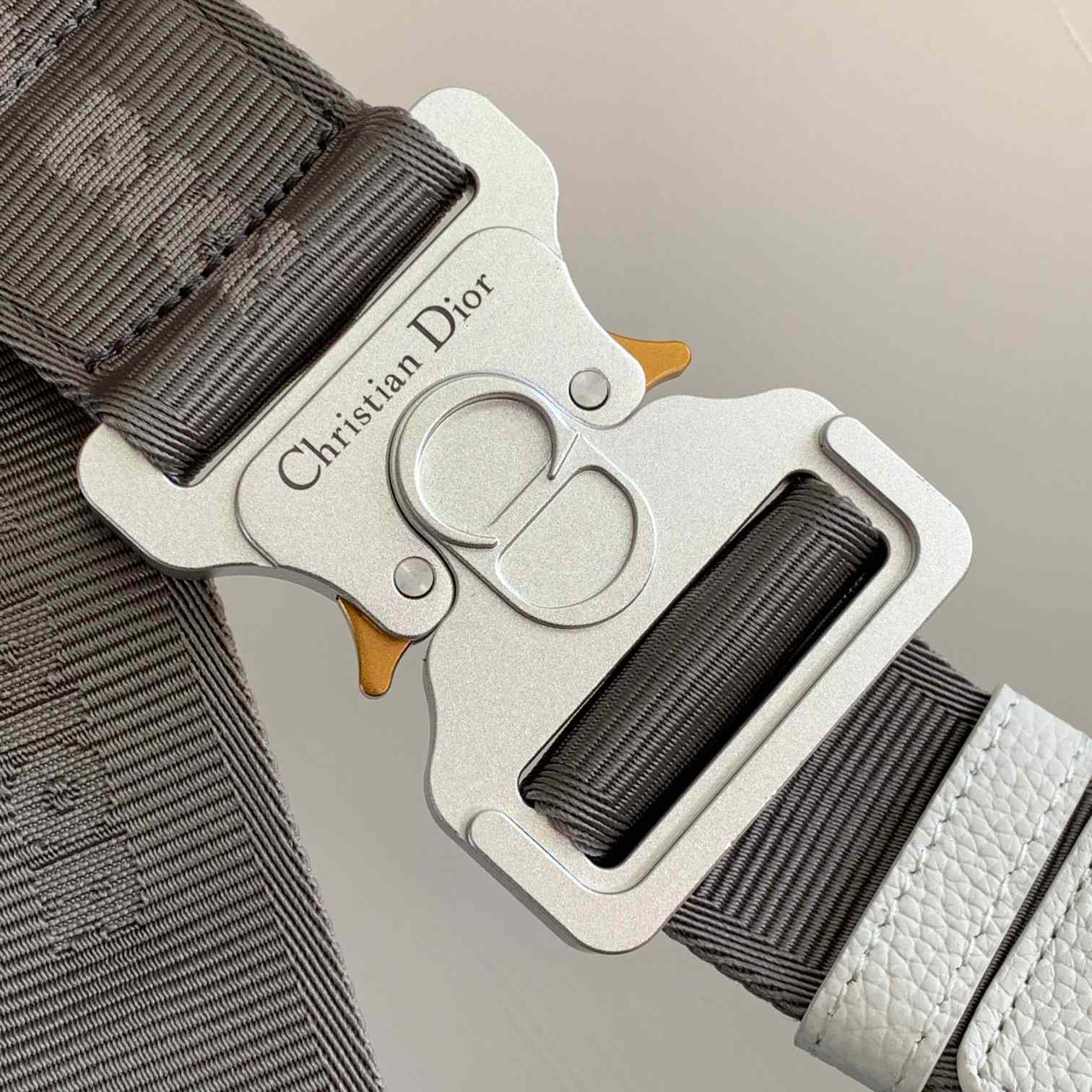 Dior Lingot 50 Bag - DopestKickz