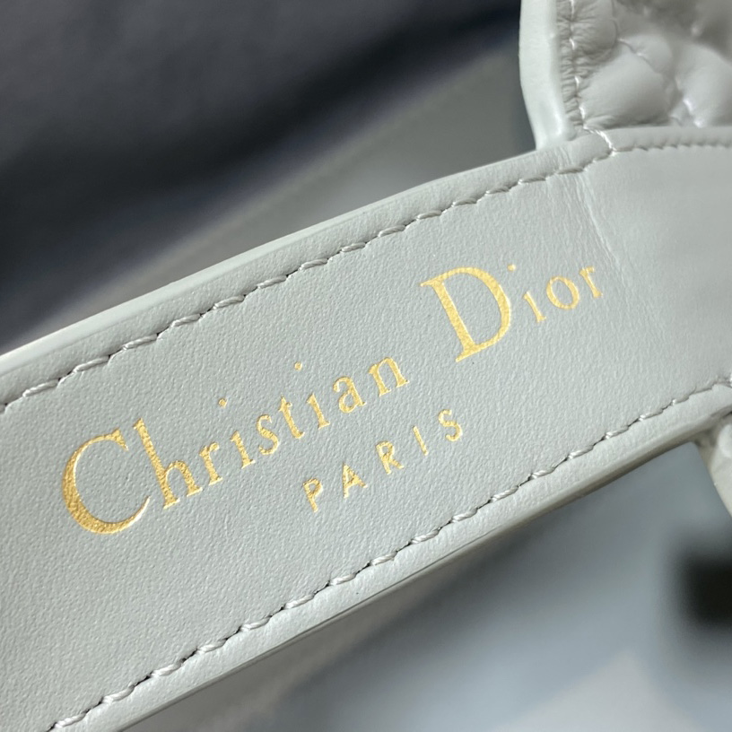 Dior Medium Dior Toujours Bag - DopestKickz