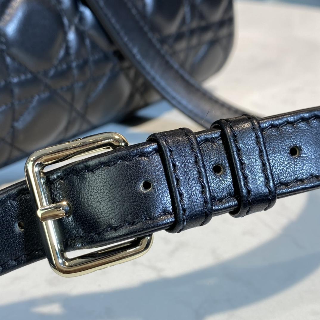 Dior Medium Lady Dior Bag - DopestKickz