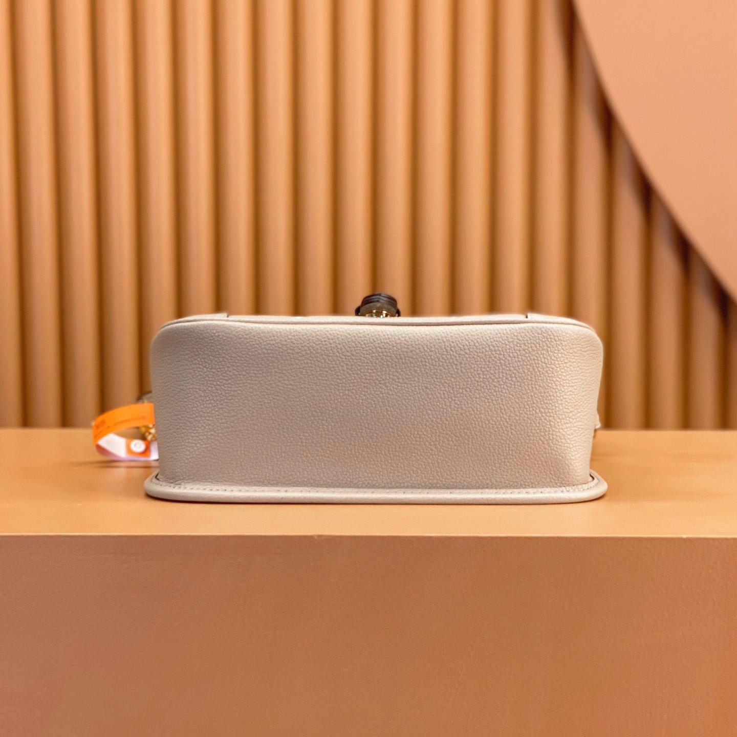 Louis Vuitton Diane (23 x 16 x 8.5cm)  M46583 - DopestKickz