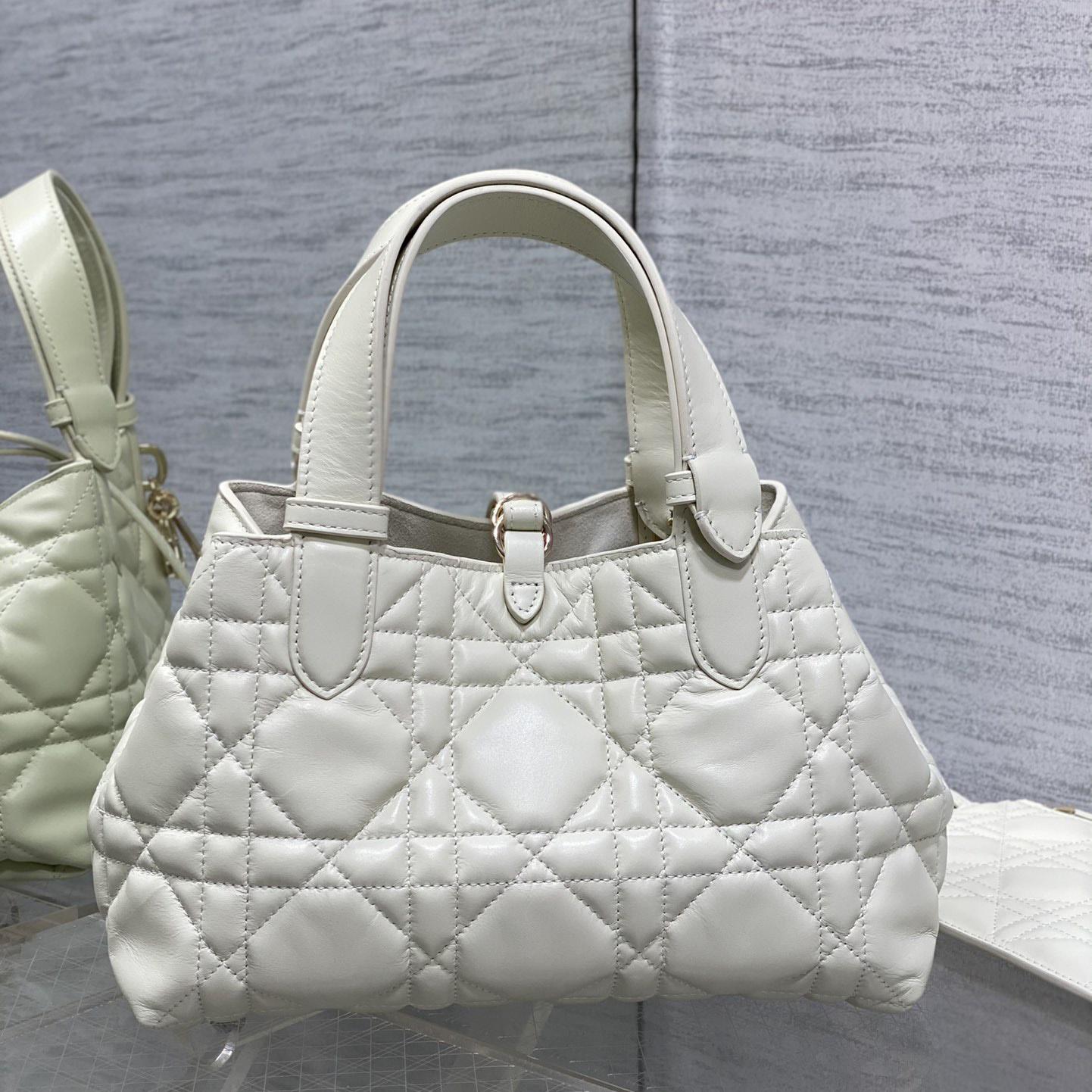 Dior Small Dior Toujours Bag - DopestKickz