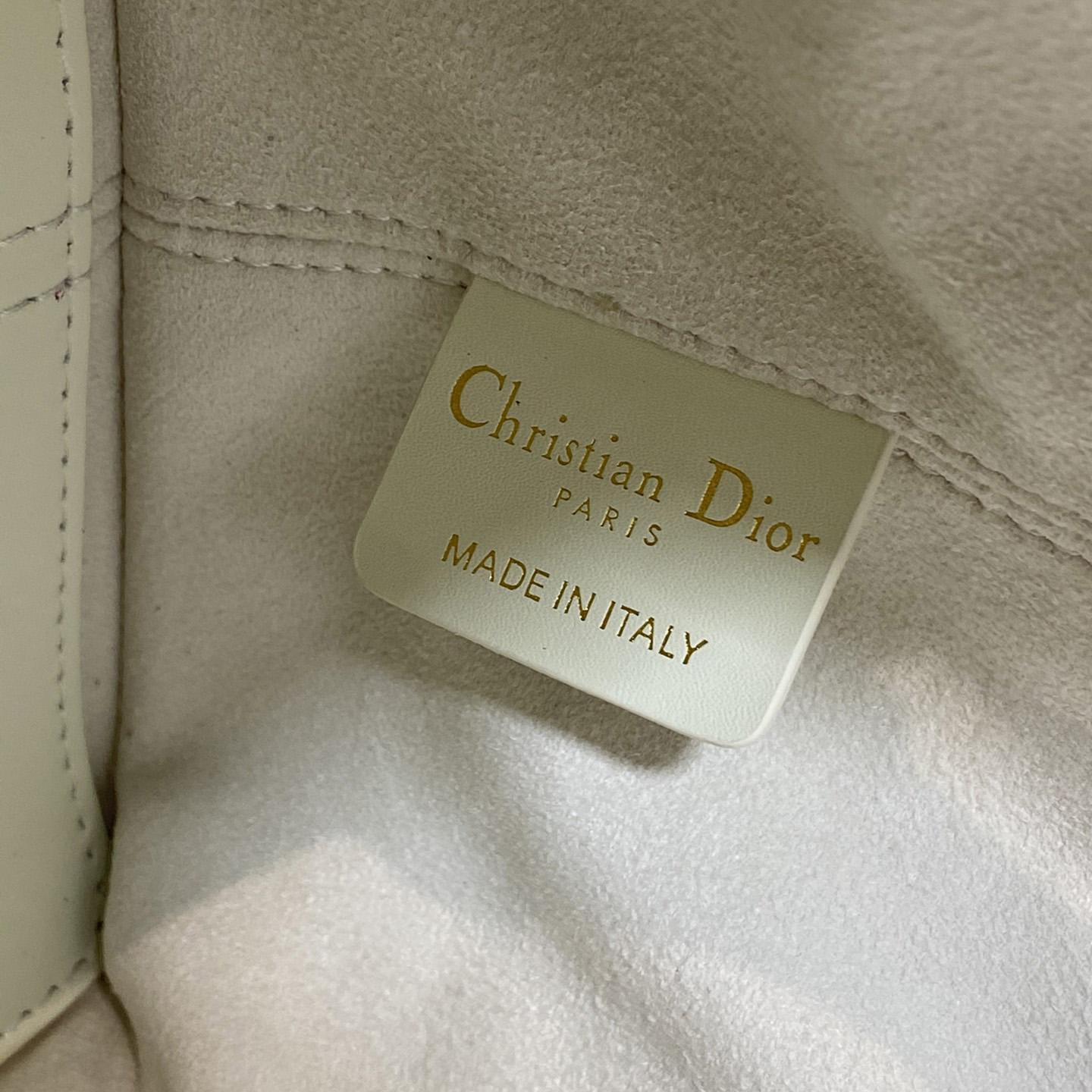 Dior Small Dior Toujours Bag - DopestKickz