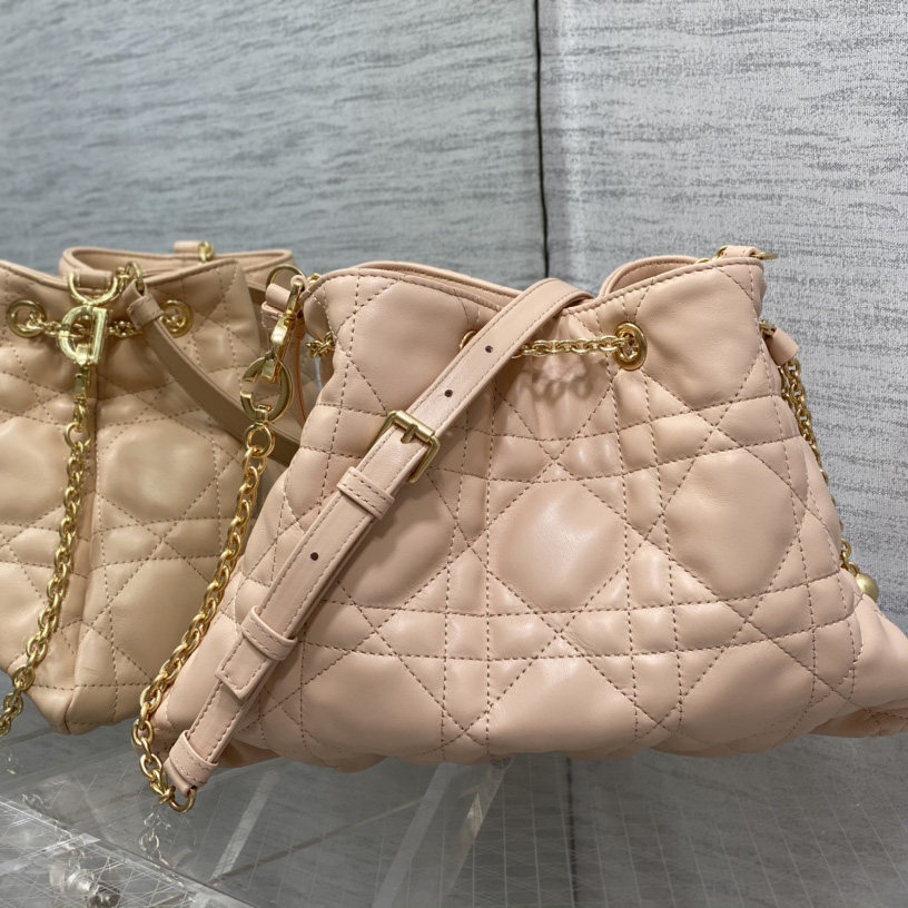 Dior Medium Dior Ammi Bag - DopestKickz