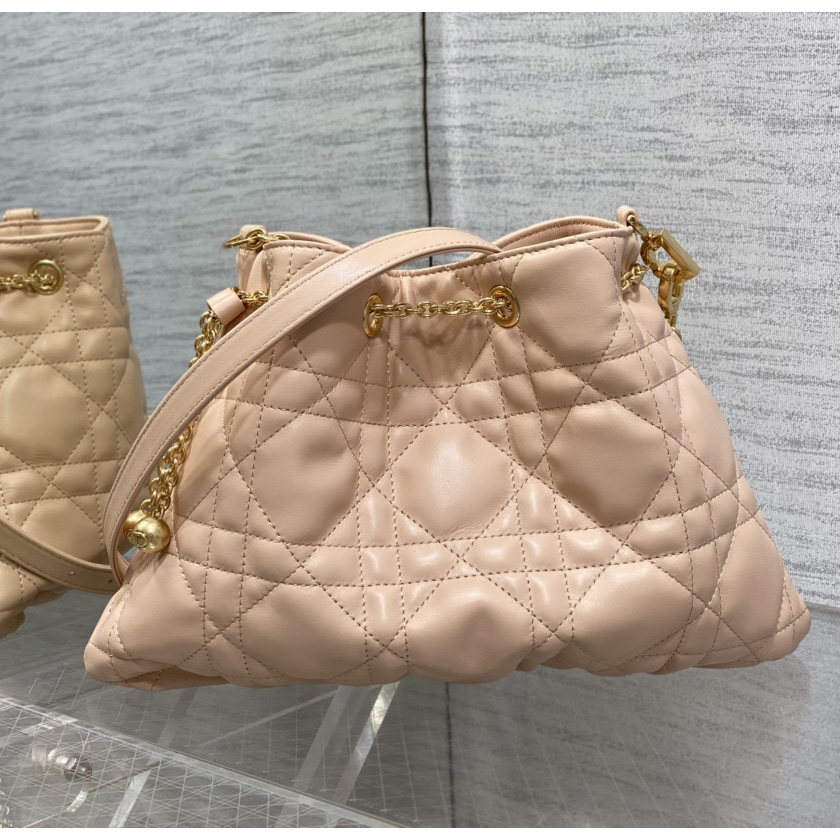 Dior Medium Dior Ammi Bag - DopestKickz