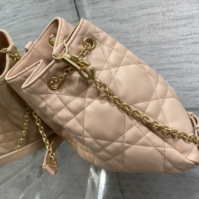 Dior Medium Dior Ammi Bag - DopestKickz