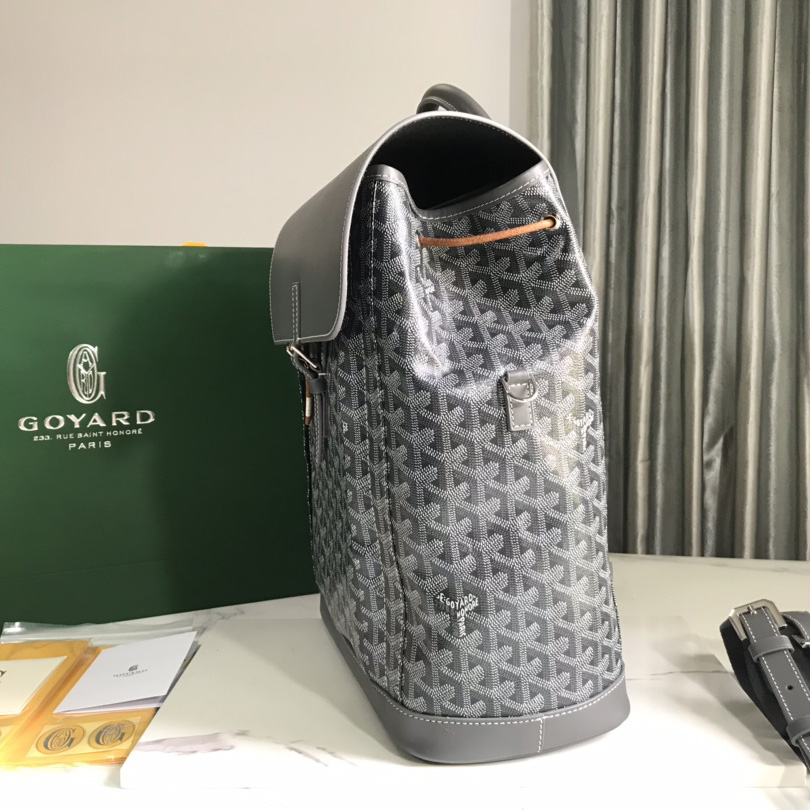 Goyard Cisalpin Backpack  (39x32x15.5cm) - DopestKickz
