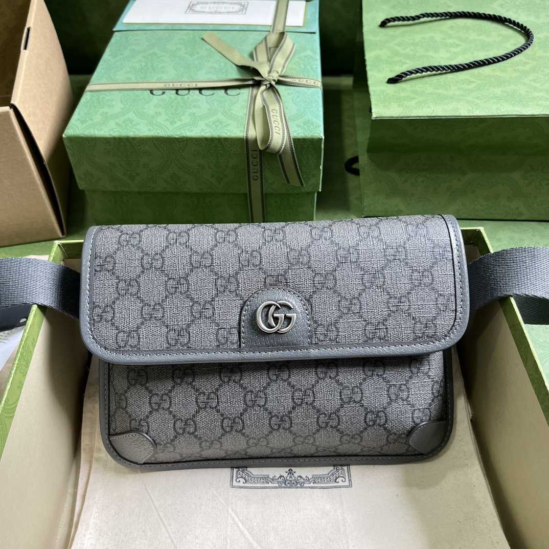 Gucci Ophidia GG Small Belt Bag - DopestKickz