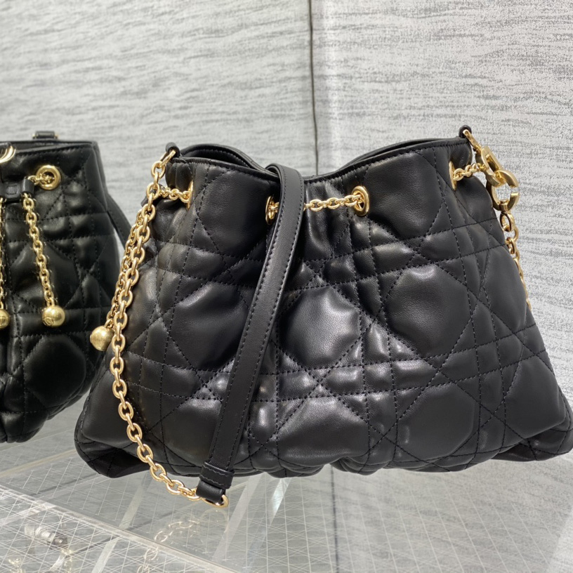 Dior Medium Dior Ammi Bag - DopestKickz