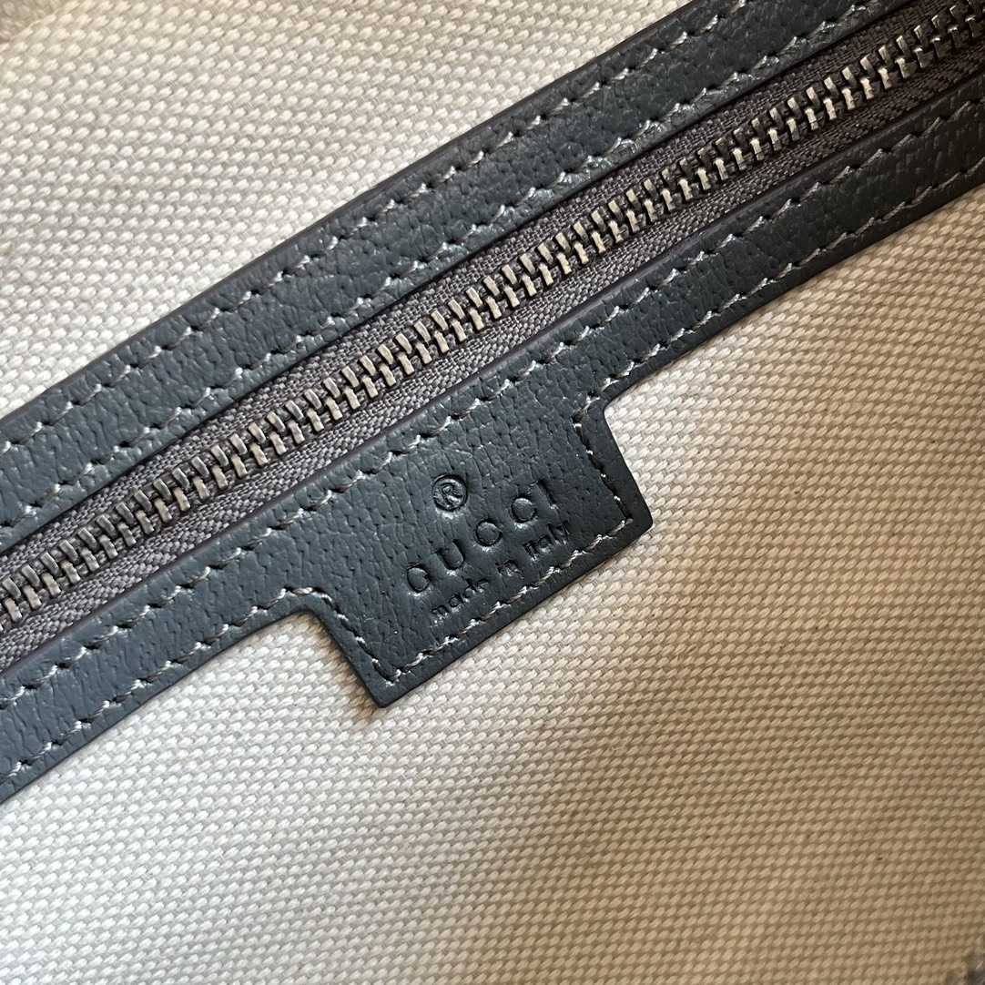 Gucci Ophidia Medium Messenger Bag (26x 16x 9.5cm) - DopestKickz