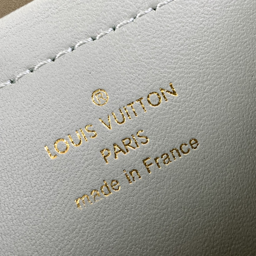 Louis Vuitton Pochette Coussin (20-14-8cm)   M82474 - DopestKickz