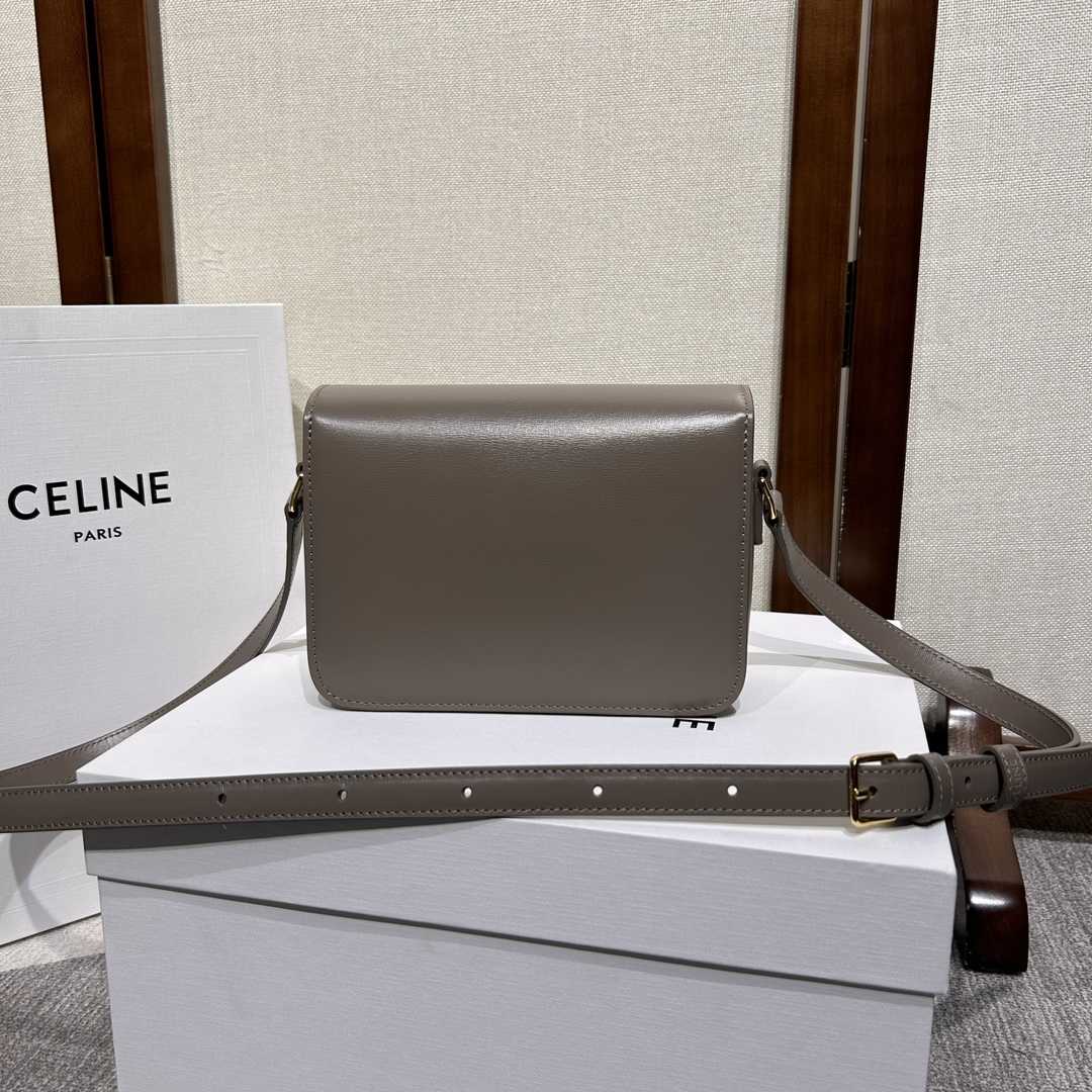 Celine Teen Triomphe Bag In Shiny Calfskin - DopestKickz
