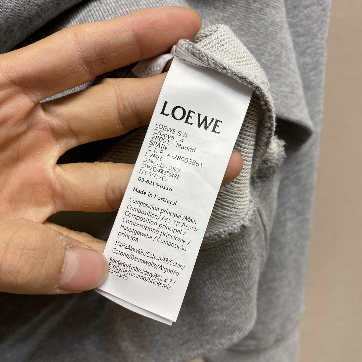 Loewe Anagram Flowers Hoodie In Cotton - DopestKickz