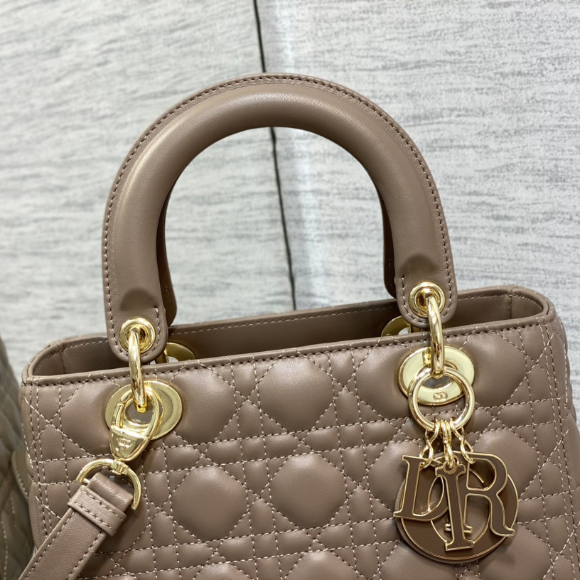 Dior Medium Lady Dior Bag - DopestKickz
