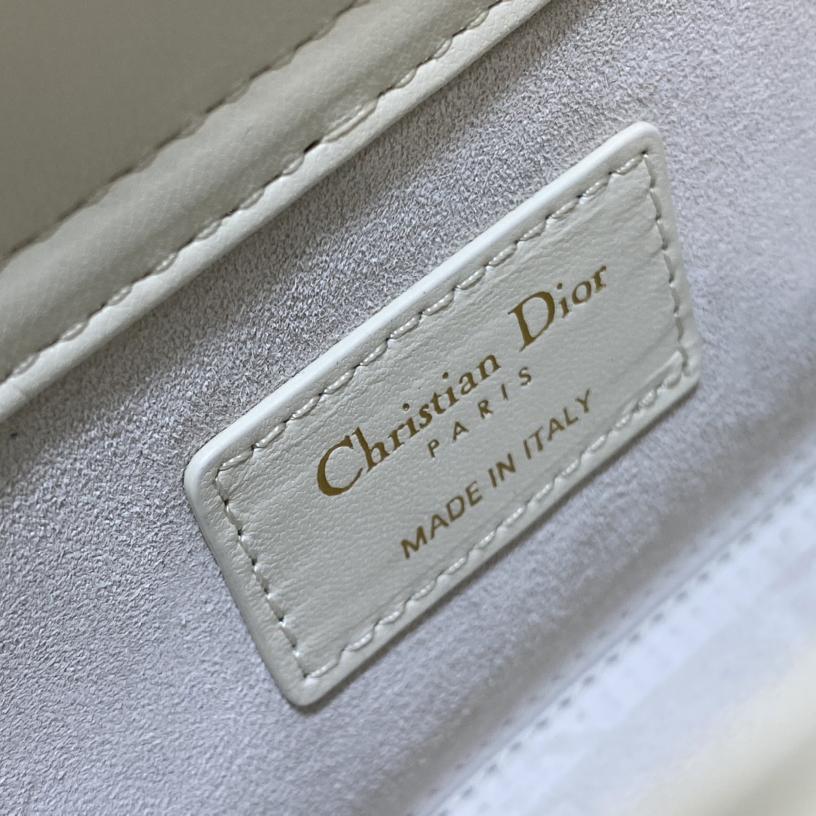 Dior Medium Lady D-Joy Bag - DopestKickz