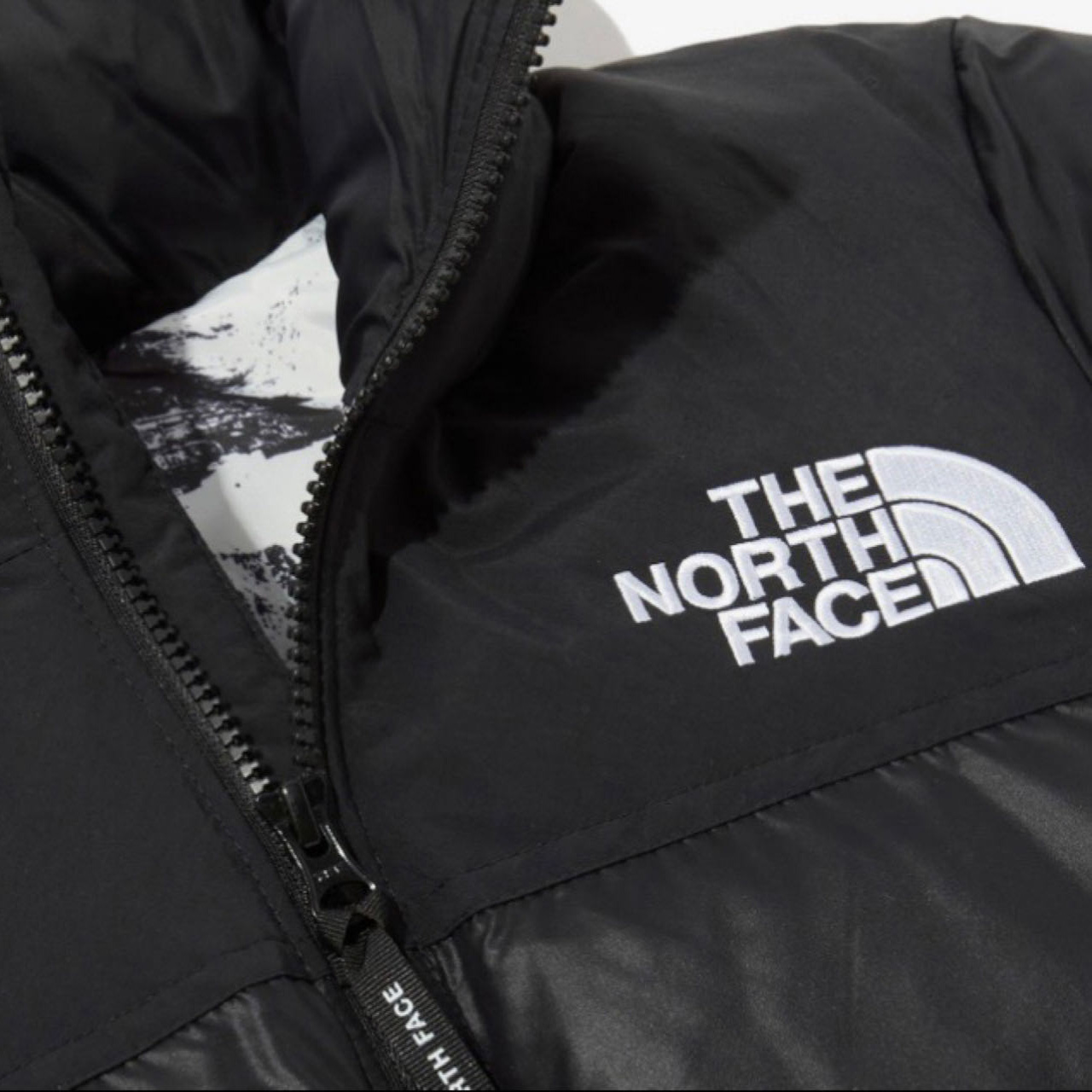 The North Face 1996 Retro Nuptse Jacket - DopestKickz