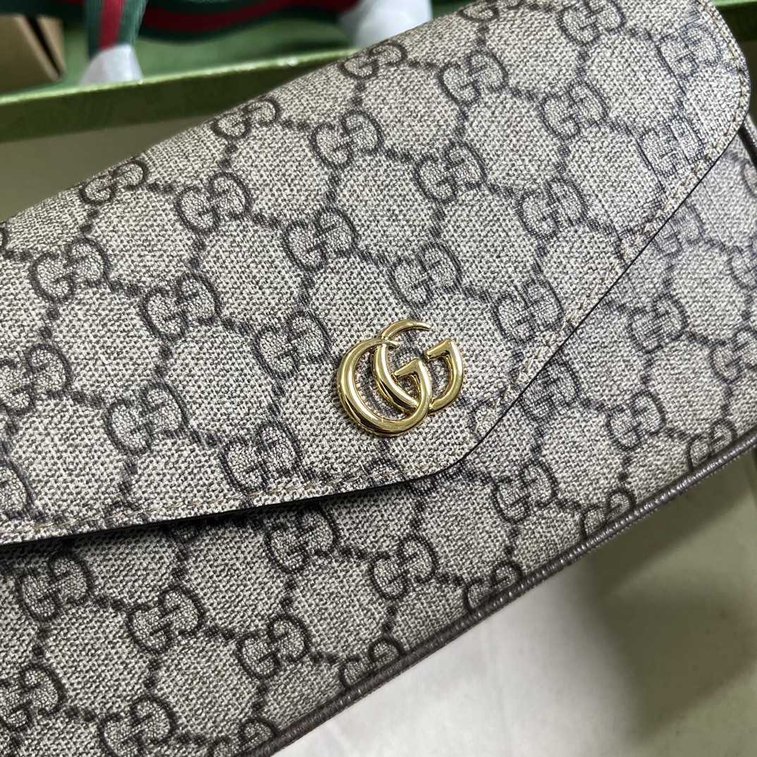 Gucci Ophidia Mini Bag  - DopestKickz