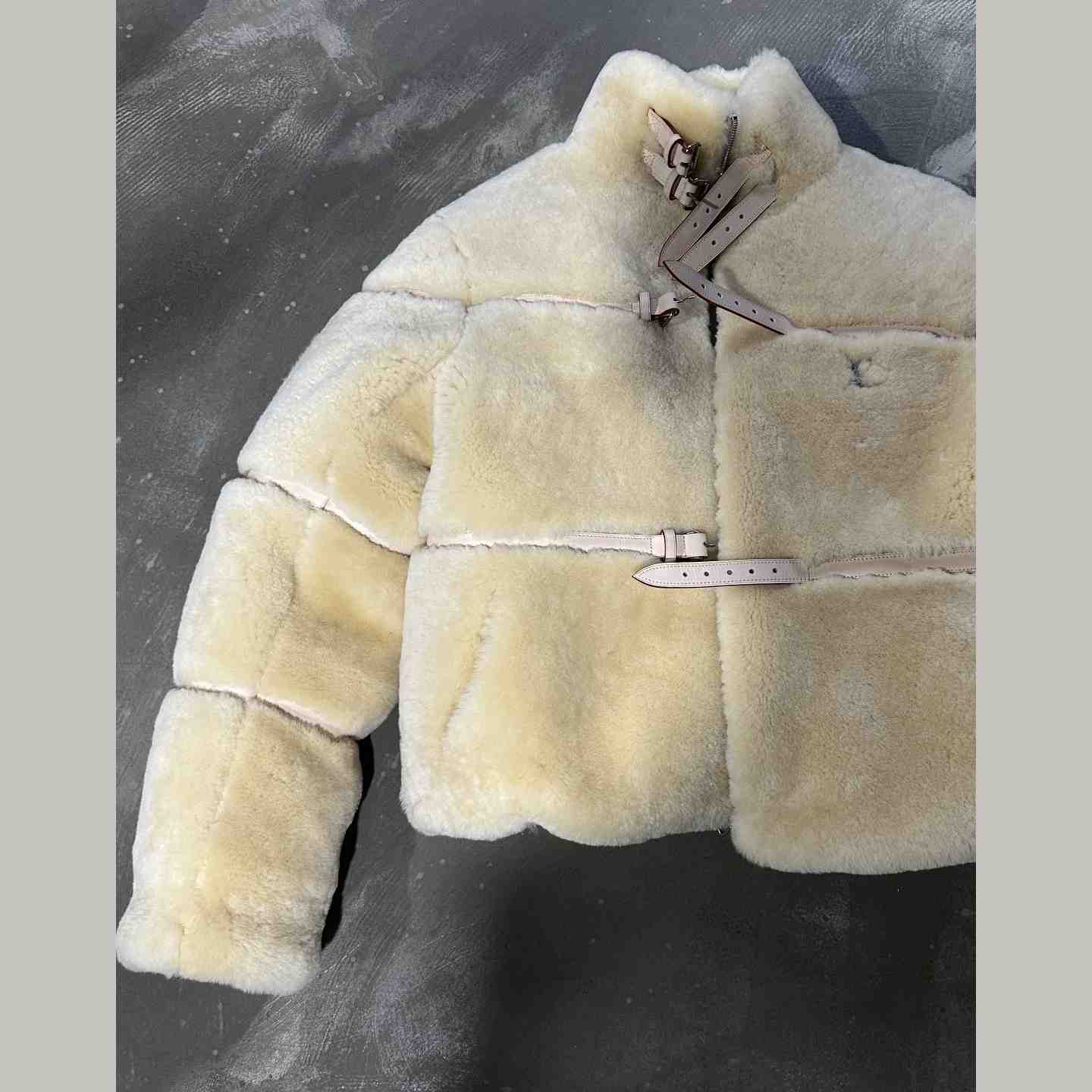 Louis Vuitton Shearling Down Blouson    - DopestKickz