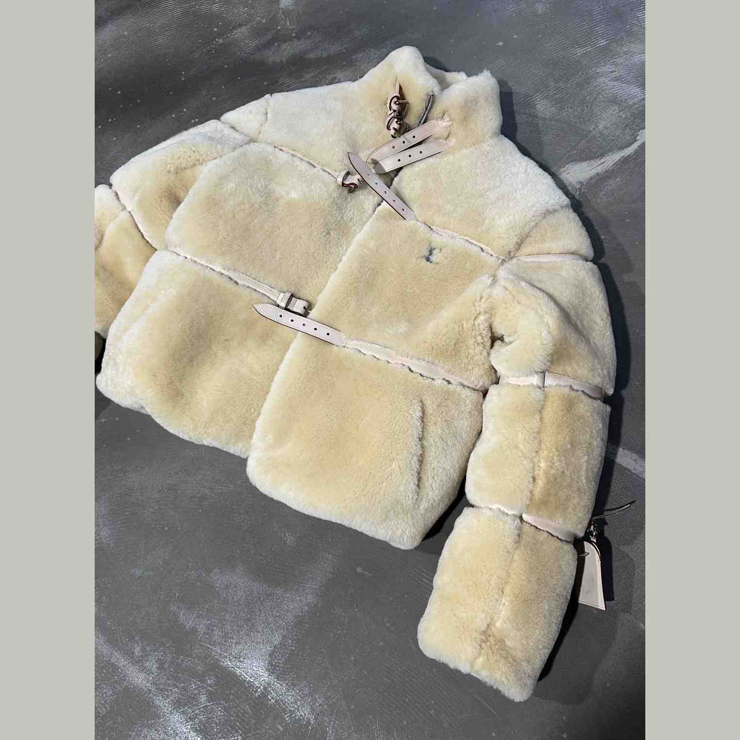 Louis Vuitton Shearling Down Blouson    - DopestKickz