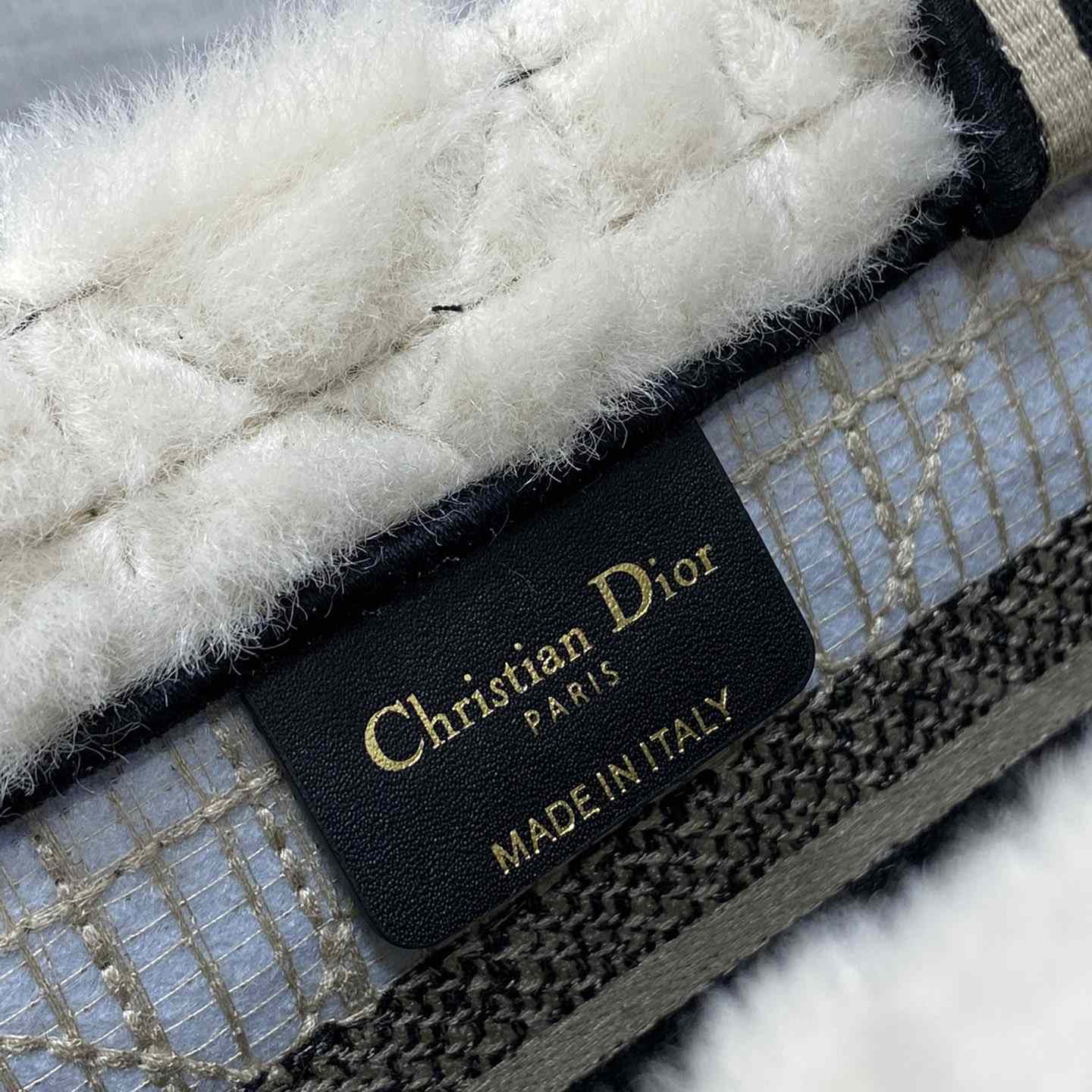 Dior Small Dior Book Tote - DopestKickz