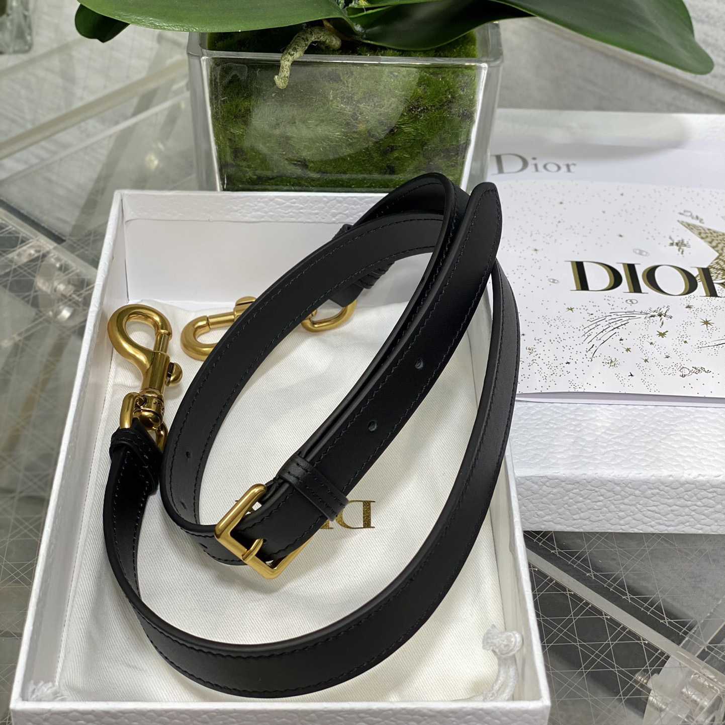 Dior Saddle Bag With Strap  (24×6×18cm) - DopestKickz