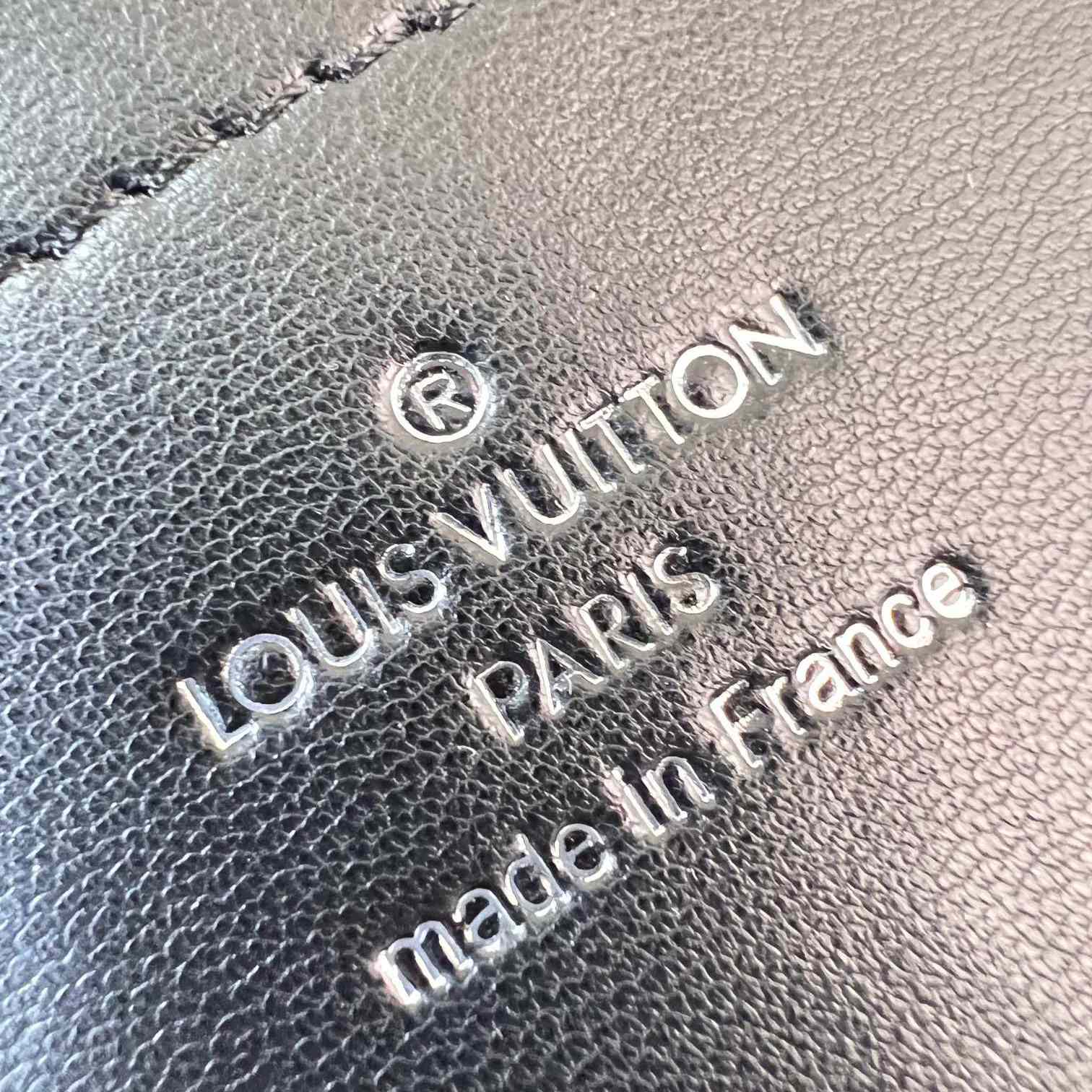 Louis Vuitton Pico GO-14   M24246 - DopestKickz