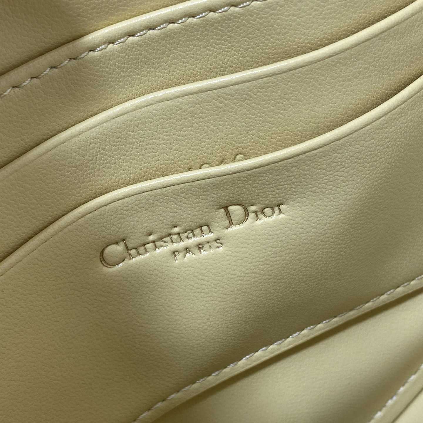 Dior Saddle Shoulder Pouch - DopestKickz