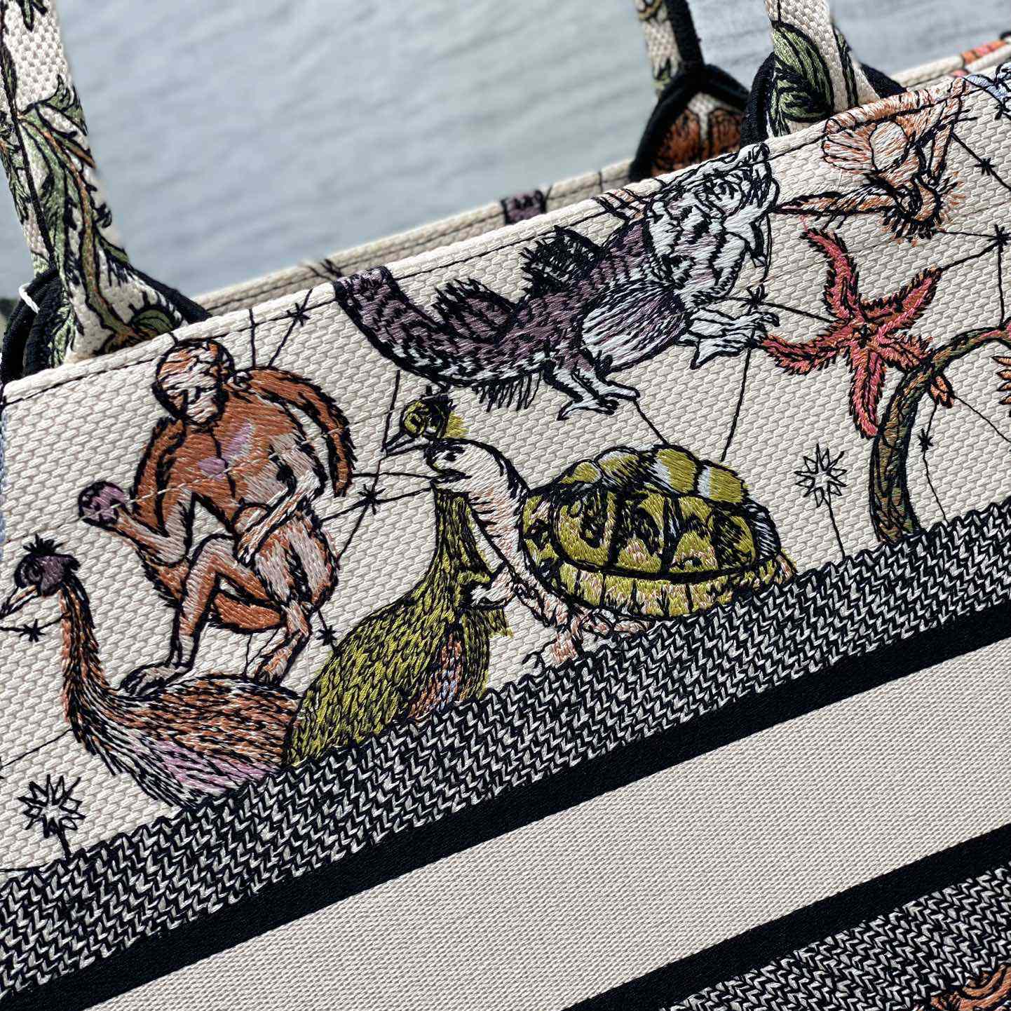 Dior Medium Dior Book Tote - DopestKickz