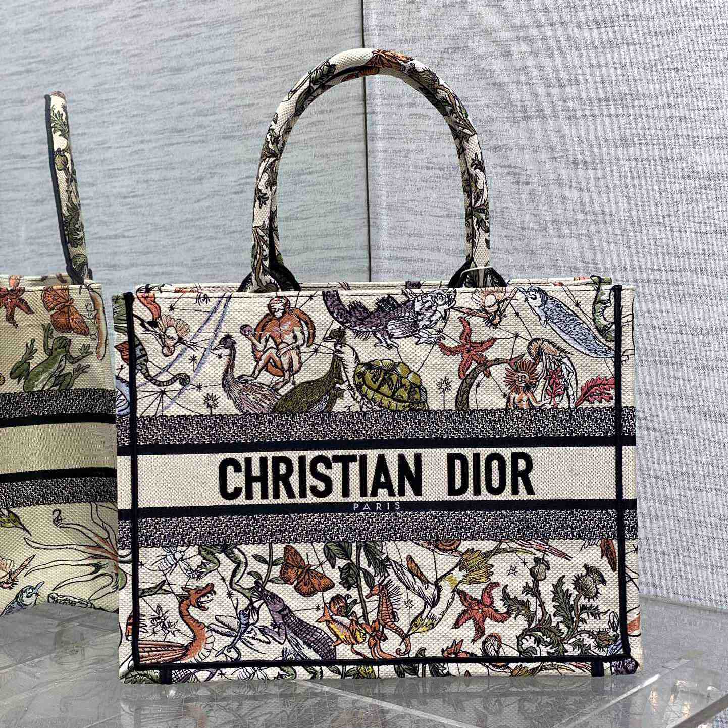 Dior Medium Dior Book Tote - DopestKickz