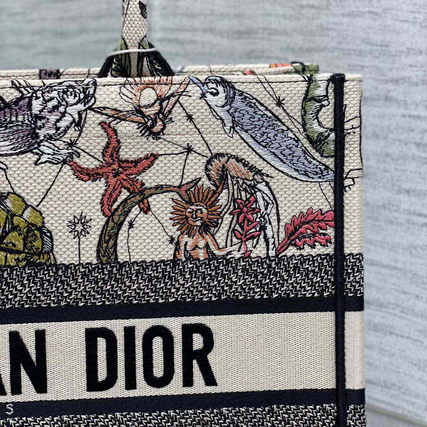 Dior Medium Dior Book Tote - DopestKickz