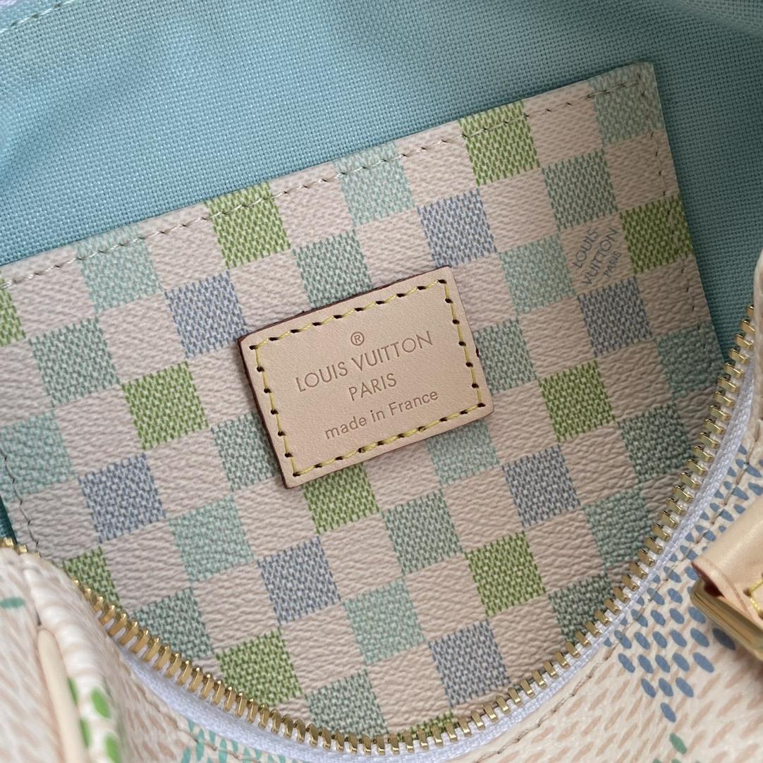 Louis Vuitton Speedy Bandoulière 20   N40515 - DopestKickz