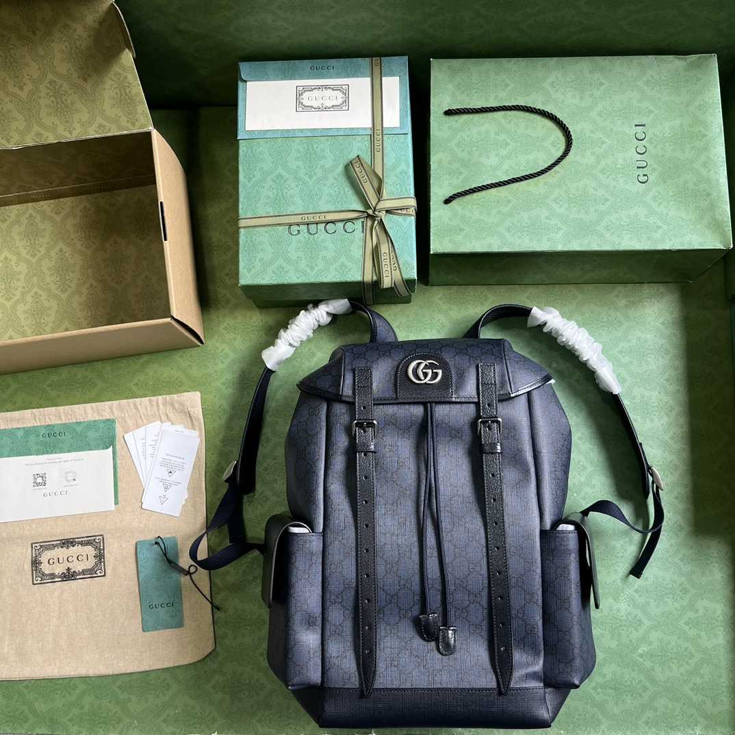 Gucci Ophidia GG Medium Backpack(24-40-16cm) - DopestKickz